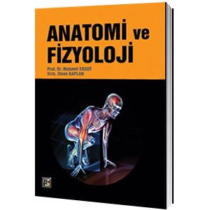 songur-anatomi-ve-fizyoloji-mehmet-ersoy-sinan-kaplanb0f4651eb8e7406bbdf28089bef28cd7.jpg