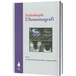 endoskopik-ultrasonografi-dilek-oguz-nevin-oruc-bahattin-cicekfebd7de4bfe5db370981fc6f72bdf880.jpg