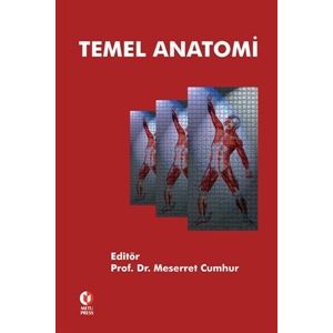 temel-anatomifbdd6db7af52793e37edab52faa354a7.jpg