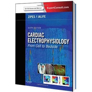 elsevier-cardiac-electrophysiology-from-cell-to-bedside9df2207ead6a3b8db40b3e01d438d3ff.jpg