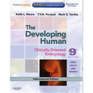 the-developing-human-clinical-oriented-embryologye41121370cfe9da77bff9cf16efc9b8f.jpg