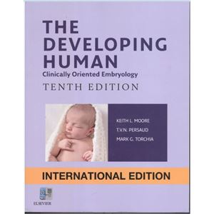 the-developing-human-clinical-oriented-embryologya1c16520e51e222b6394d26fe9cf0e12.jpg