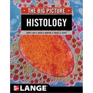 histology-the-big-picture84b8def8cf12c7f7db2d169a05aed439.jpg