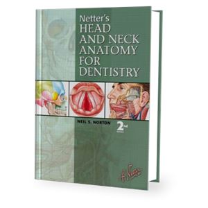 netters-head-and-neck-anatomy-for-dentistry9302601ad9710b3a33c1298801dcecde.png