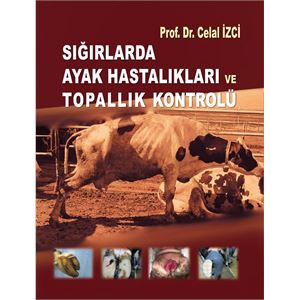 htanycmgxy372018151816-kapak-on-1530612460.jpg