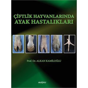 dpftbtvjbg4162018133940-kapak-on-2-bsk-1530612425.jpg
