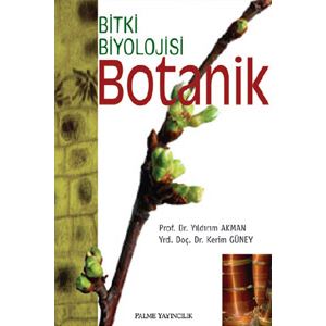 palme-botanik0670e42eb3550e103ac5a21705c23dc9.jpg