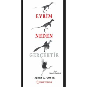 palme-evrim-neden-gercektirdc7ac11e27d2ba3d57c75aefafb6da4d.jpg