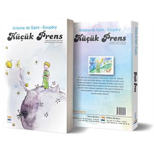 kucuk-prensef317c4f622a94018b35481992573319.jpg
