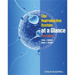 the-reproductive-system-at-a-glance3732efdd4406569f28ac87f59d9d0961.jpg