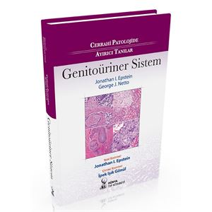 genitouriner-sistem85f8b41baa310c1f60a92c4a2ca7308d.jpg