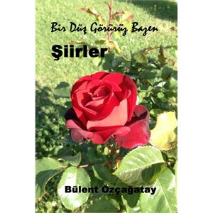 siirler-1-on-kapak-2-jpg-1625740193.jpg