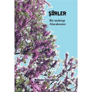 siirler-2-on-kapak-3-1625740255.jpg