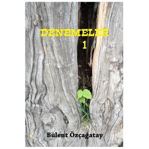 denemeler-1-on-kapak-1625740323.jpg