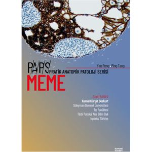 paps-meme6f4a66fb1034c8477e7028d922e90cf7.png
