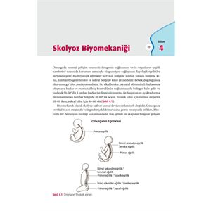 skolyozdaftrbaski_06.jpg