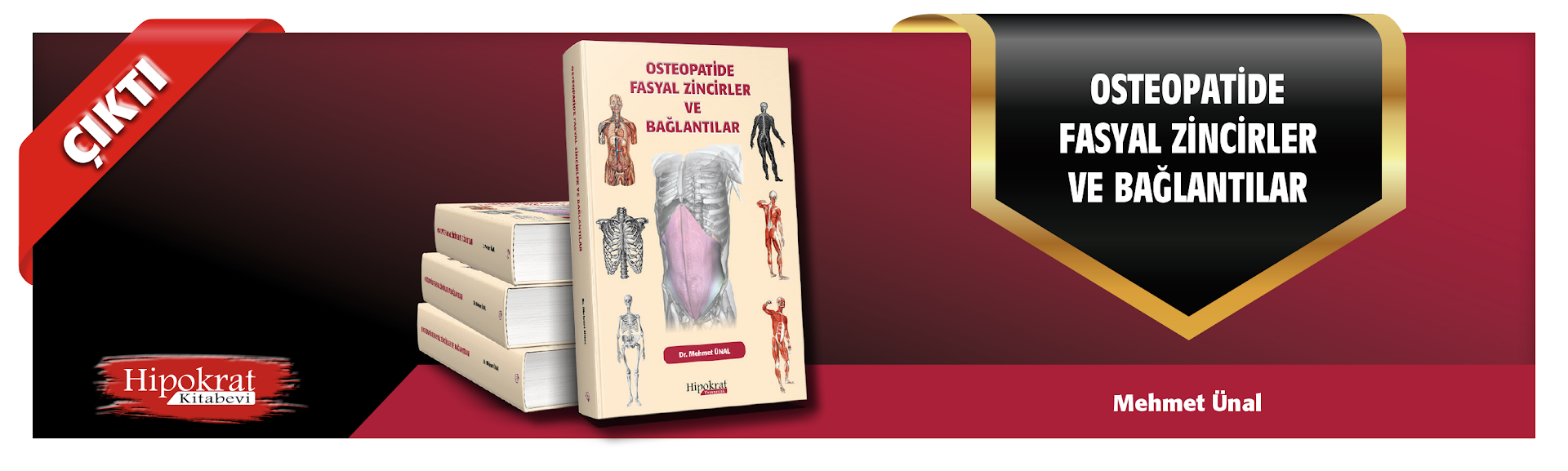 Osteopatide Fasyal Zincirler ve Bağlantılar