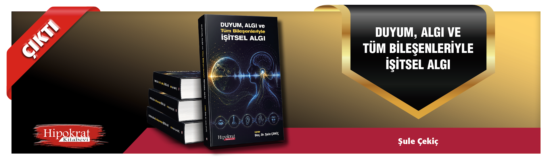 Duyum, Algı ve  Tüm Bileşenleriyle  İşitsel Algı