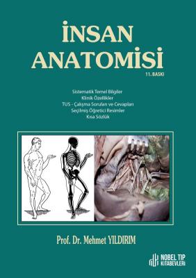 İnsan Anatomisi 11. Baskı Mehmet Yıldırım